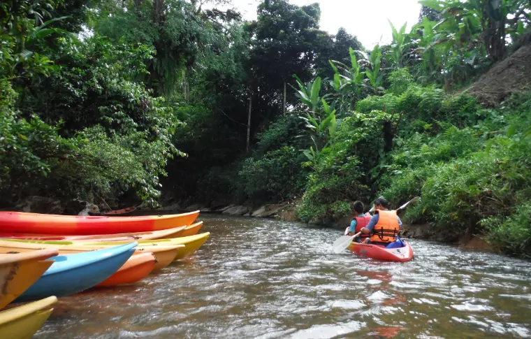 5-Day or 8-Day Trek, Pedal, & Paddle the Sarawak Rainforest